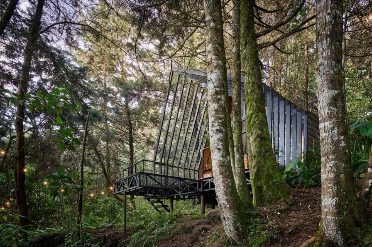 Oculto Refugio De Bosque Hotel Envigado Ngoại thất bức ảnh