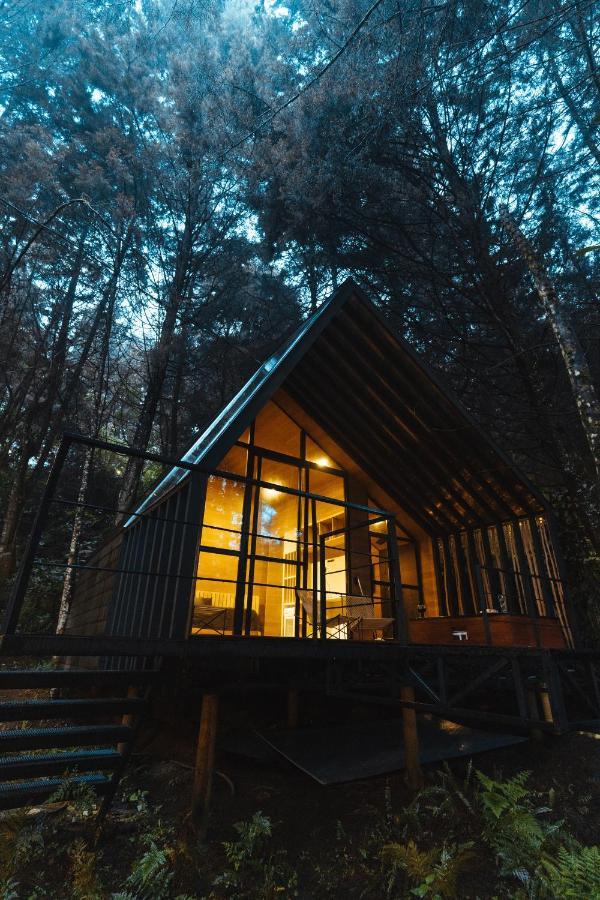 Oculto Refugio De Bosque Hotel Envigado Ngoại thất bức ảnh